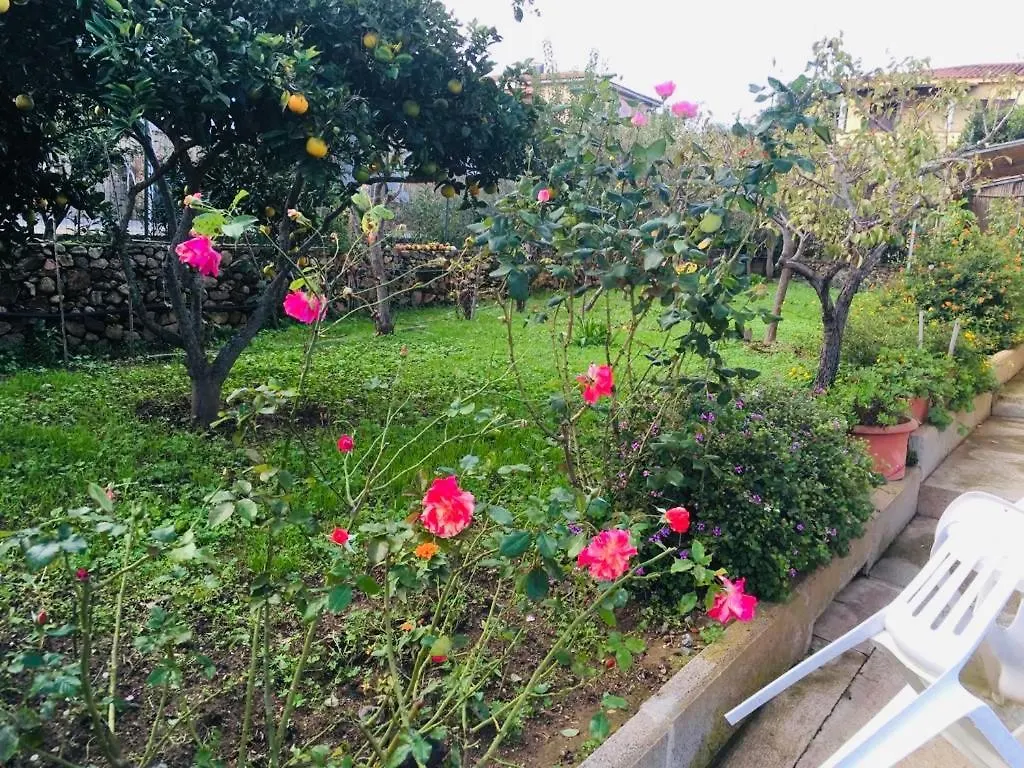 Bed & Breakfast B&B Sa Domo San Teodoro