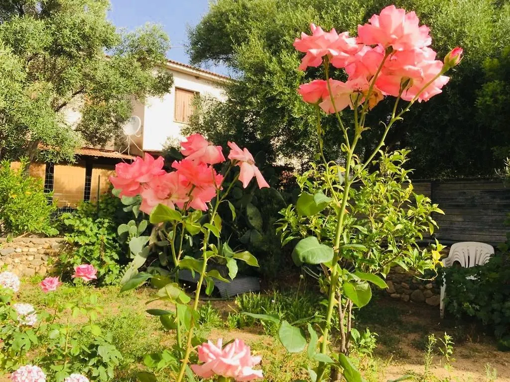 B&B Sa Domo San Teodoro  0*, San Teodoro (Sardinia)